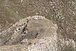 横山01号马面