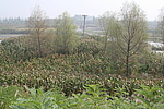 四台子烽火台
