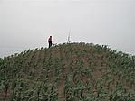 双利煤窑沟烽火台