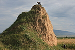 麻子沟烽火台