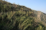牛槽峪长城4号敌台