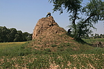 柴家堡烽火台
